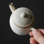 Japanese Vintage Crackle Glaze Teapot_3