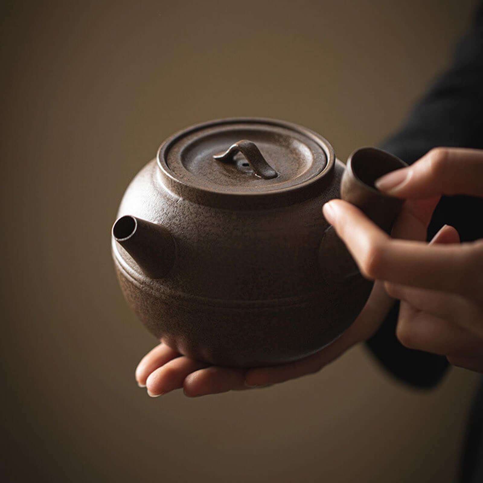 Japanese Wabi-Sabi Side-Handle Teapot_3