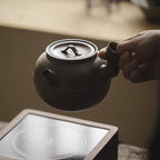 Japanese Wabi-Sabi Side-Handle Teapot_TAKE