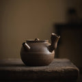 Japanese Wabi-Sabi Side-Handle Teapot_single pot